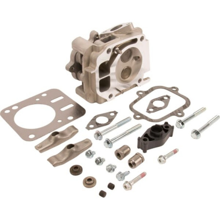 Culasse BRIGGS ET STRATTON 594514