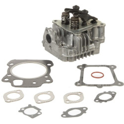 Culasse BRIGGS ET STRATTON 592175