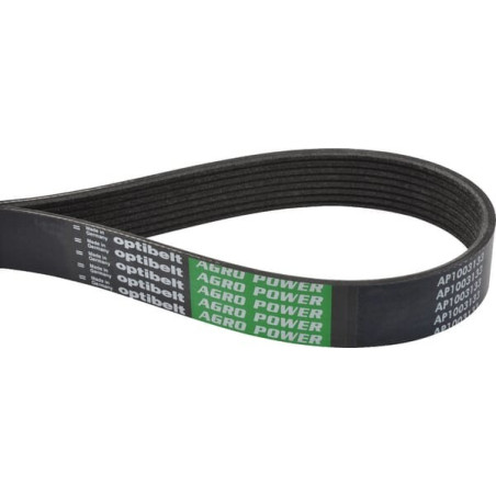 Courroie trapézoïdale OPTIBELT R135169AB
