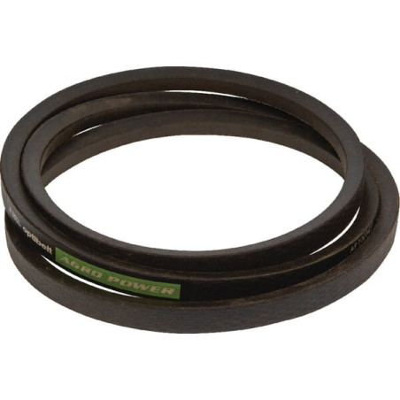 Courroie trapézoïdale OPTIBELT 41965100AB