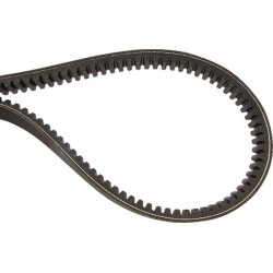 Courroie trapézoïdale OPTIBELT 320551M1AB
