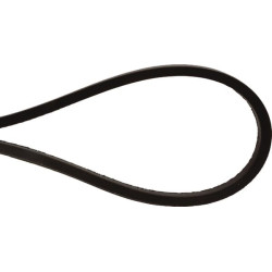 Courroie trapézoïdale OPTIBELT 0003160000AB