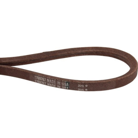 Courroie trapézoïdale MTD GW1769767