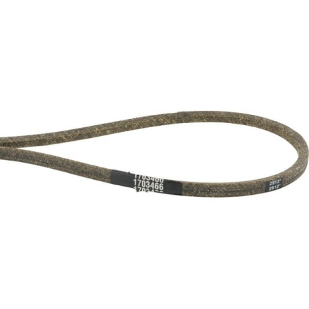 Courroie trapézoïdale BRIGGS ET STRATTON 1703466SM