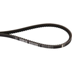 Courroie trapézoïdale AGRIA AGW79648