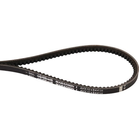 Courroie trapézoïdale AGRIA AGW79648