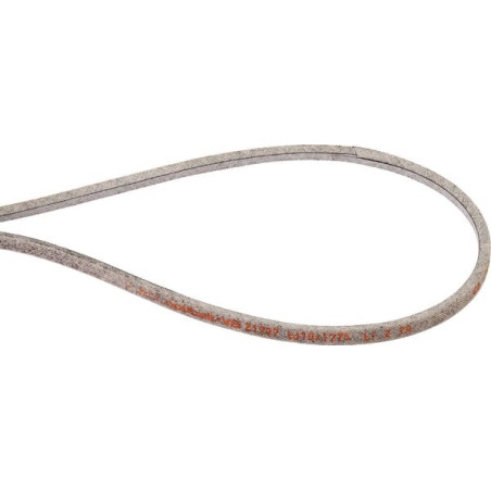 Courroie trapézoïdale AGRIA AGW76278