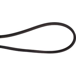 Courroie trapézoidale AA131 UNIVERSEL FGP016432