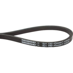 Courroie SNAPPER 701326YP