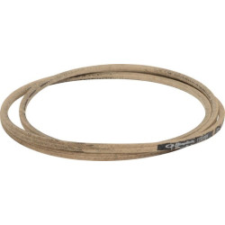 Courroie SNAPPER 1732409SM