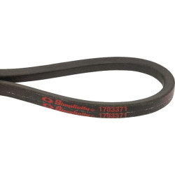 Courroie SNAPPER 1703371SM