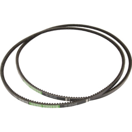 Courroie OPTIBELT X696613901000AB