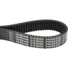 Courroie OPTIBELT VX288700