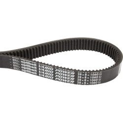 Courroie OPTIBELT VX2881060
