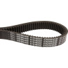 Courroie OPTIBELT VX268800