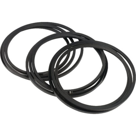 Courroie OPTIBELT VF06580119N