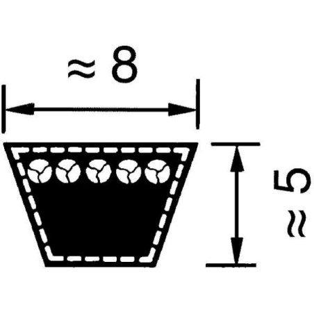 Courroie OPTIBELT VB81120