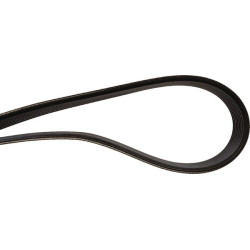 Courroie OPTIBELT R157687AB