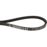 Courroie OPTIBELT AX13980PD