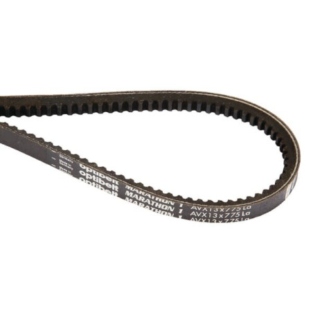 Courroie OPTIBELT AVX13918