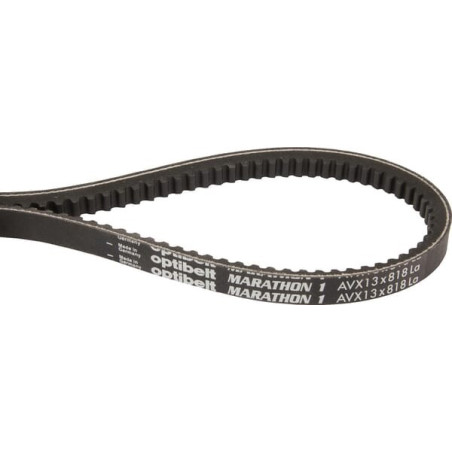 Courroie OPTIBELT AVX13818