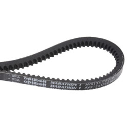 Courroie OPTIBELT AVX131950