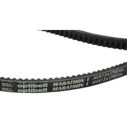 Courroie OPTIBELT AVX131700