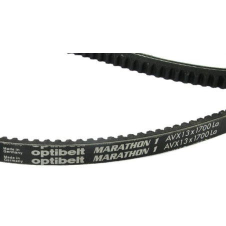 Courroie OPTIBELT AVX131700