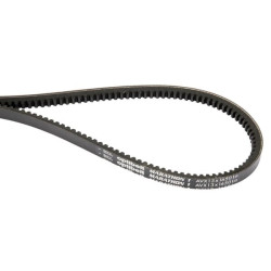 Courroie OPTIBELT AVX131675