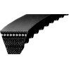 Courroie OPTIBELT AVX131600