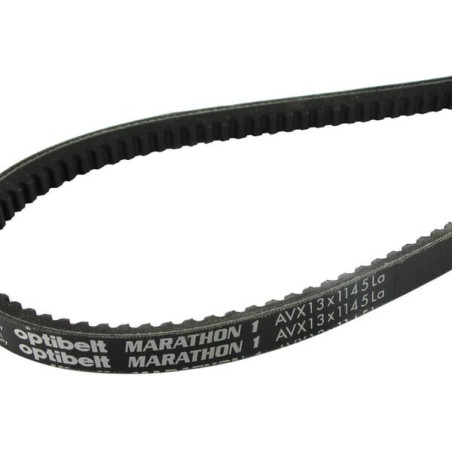 Courroie OPTIBELT AVX131225