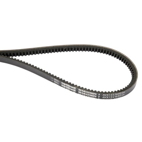 Courroie OPTIBELT AVX131000