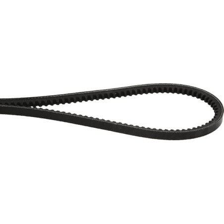 Courroie OPTIBELT AVX10913