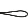 Courroie OPTIBELT AVX10913