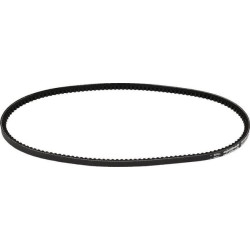 Courroie OPTIBELT AVX10900