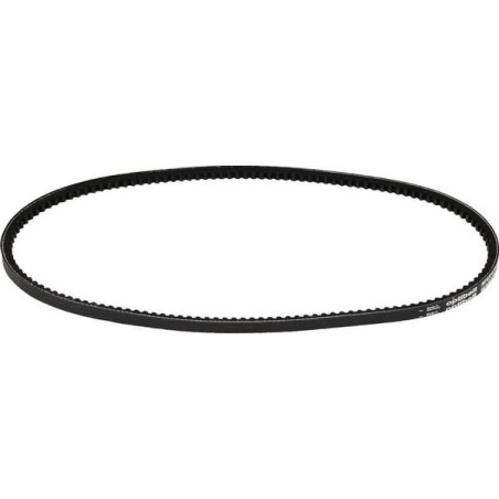 Courroie OPTIBELT AVX10900