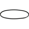Courroie OPTIBELT AVX10900