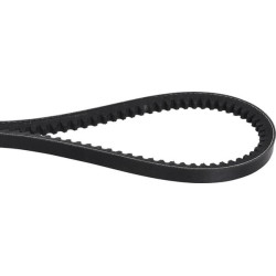 Courroie OPTIBELT AVX10838