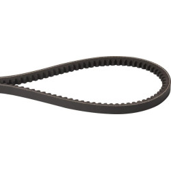 Courroie OPTIBELT AVX101175