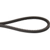 Courroie OPTIBELT AVX101175