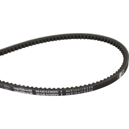 Courroie OPTIBELT AVX101165