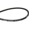 Courroie OPTIBELT AVX101165