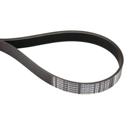 Courroie OPTIBELT 8PJ813