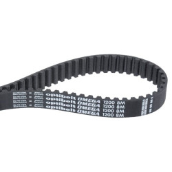 Courroie OPTIBELT 8M112020