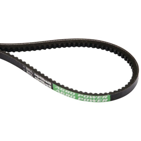 Courroie OPTIBELT 89831694AB