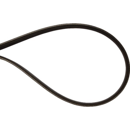 Courroie OPTIBELT 84818008AB