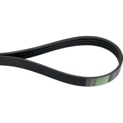 Courroie OPTIBELT 84817631AB