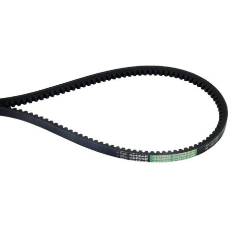 Courroie OPTIBELT 83101791AB4