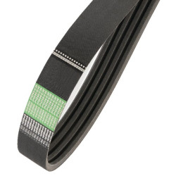 Courroie OPTIBELT 80455865AB