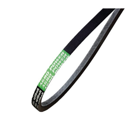 Courroie OPTIBELT 80410896AB